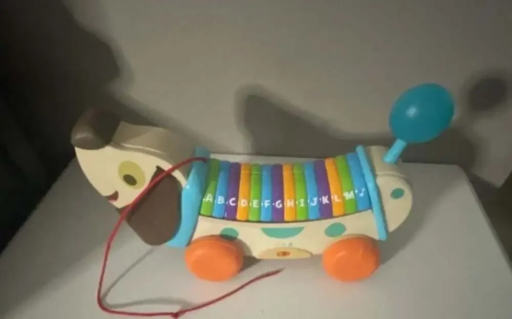 LeapFrog Wooden AlphaPup Pull-Along Alphabet Dog